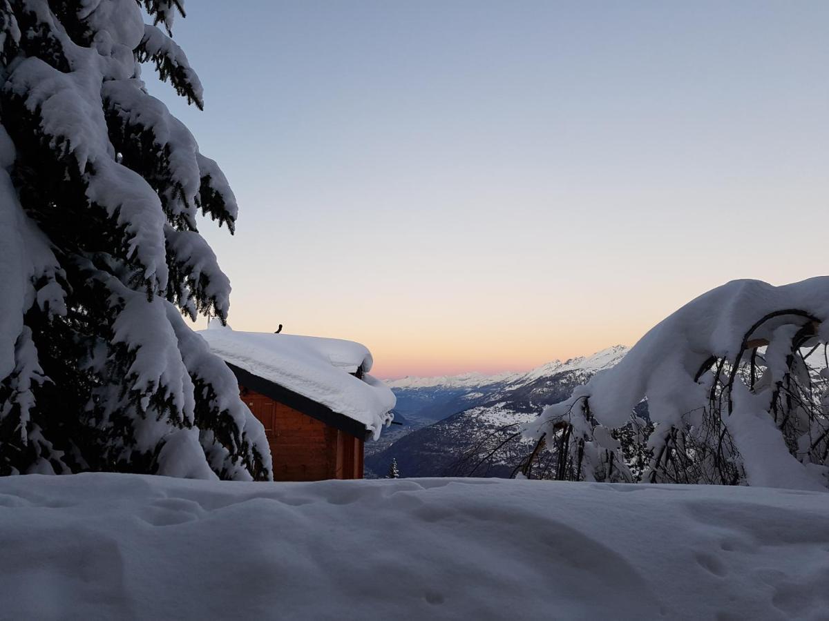 Chalet Bietschhorn Rosswald Termen Eksteriør bilde