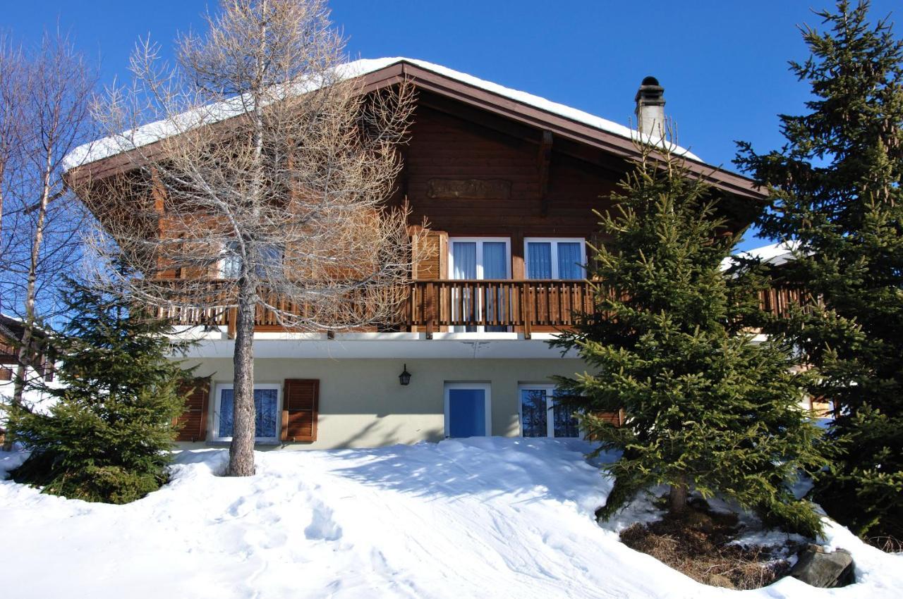 Chalet Bietschhorn Rosswald Termen Eksteriør bilde