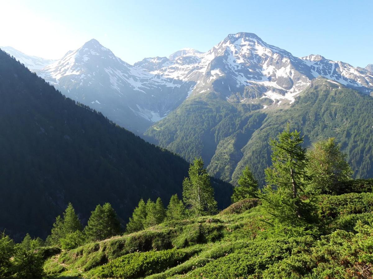Chalet Bietschhorn Rosswald Termen Eksteriør bilde