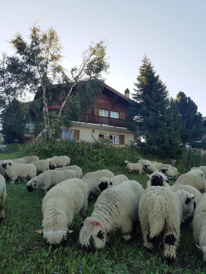 Chalet Bietschhorn Rosswald Termen Eksteriør bilde